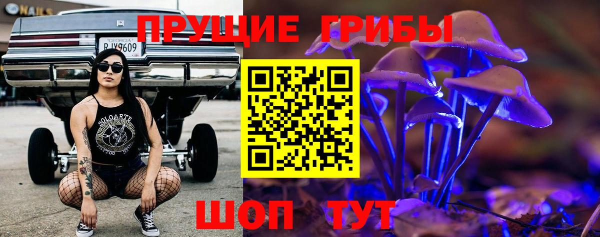 Галлюциногенные грибы прущие грибы  Вход с VPN  Дюртюли 