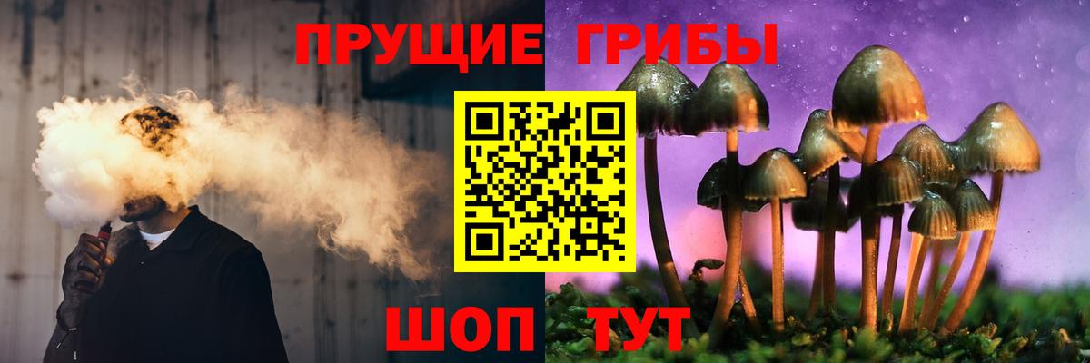 Псилоцибиновые грибы GOLDEN TEACHER Дюртюли